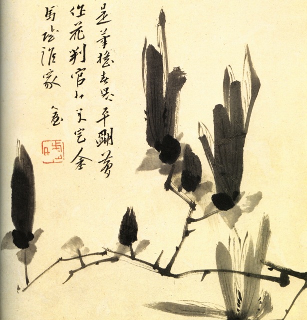 Chu Ta  - Branche de magnolia